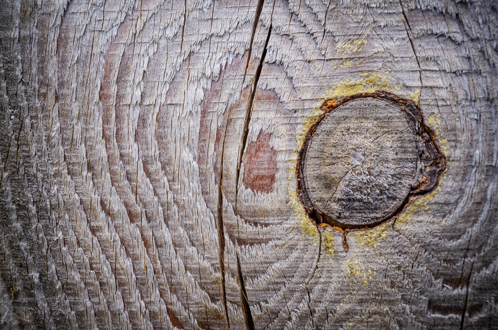 Tartak – Źródło Doskonałego Drewna: Buduj Z Radością i Odpornością.